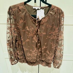 DR2 by Daniel Rainne Brown Lace Floral Blouse